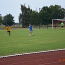 plewis 17